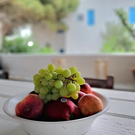Guest house Special Rate Due To Pre Renovation! Bohemian Island House Pool And Beach Mykonos Town