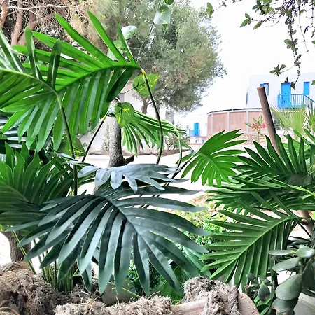 Special Rate Due To Pre Renovation! Bohemian Island House Pool And Beach Guest house *